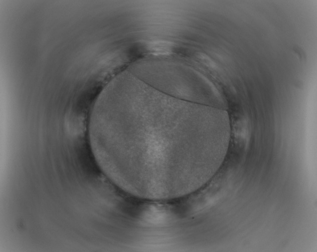 X0000113530372200910161355