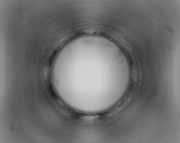 X0000113530375200910161355