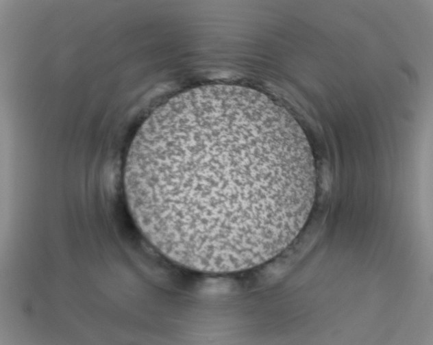 X0000113530376200910161355