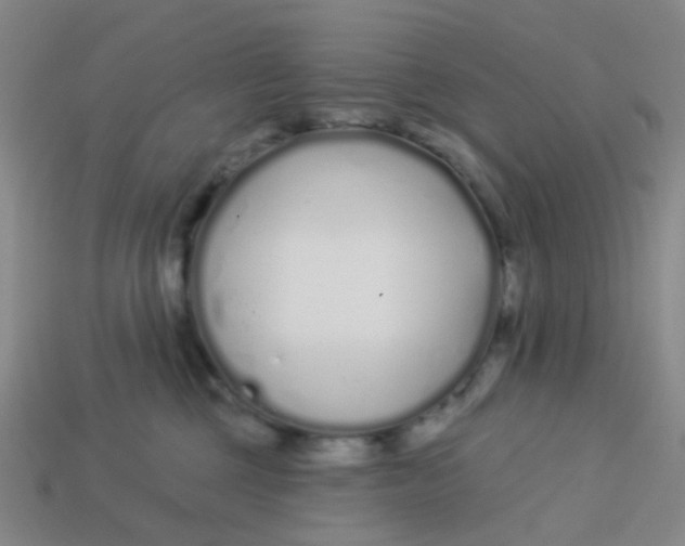 X0000113530377200910161355