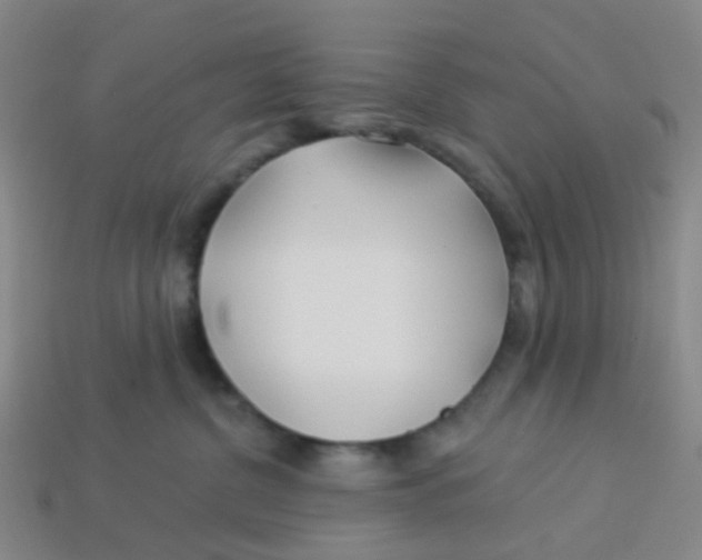 X0000113530380200910161355