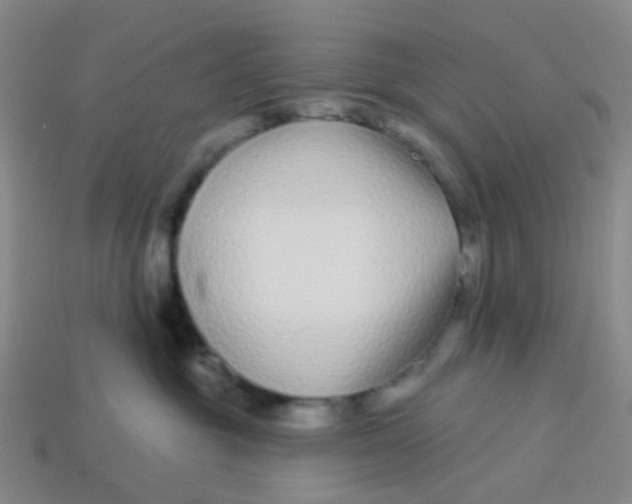 X0000113530381200910161355