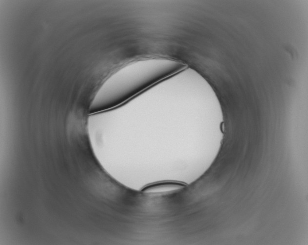 X0000113530384200910161355