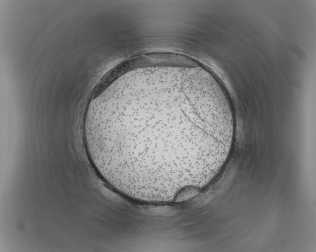 X0000113530385200910161354