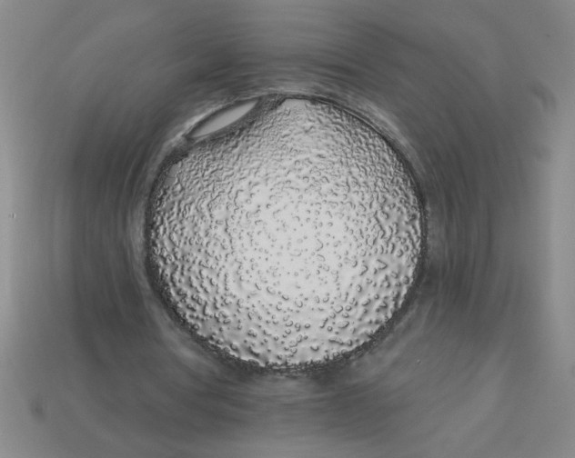 X0000113530386200910161354