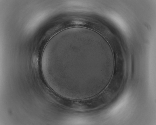 X0000113530387200910161354