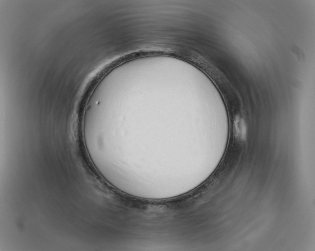 X0000113530388200910161354