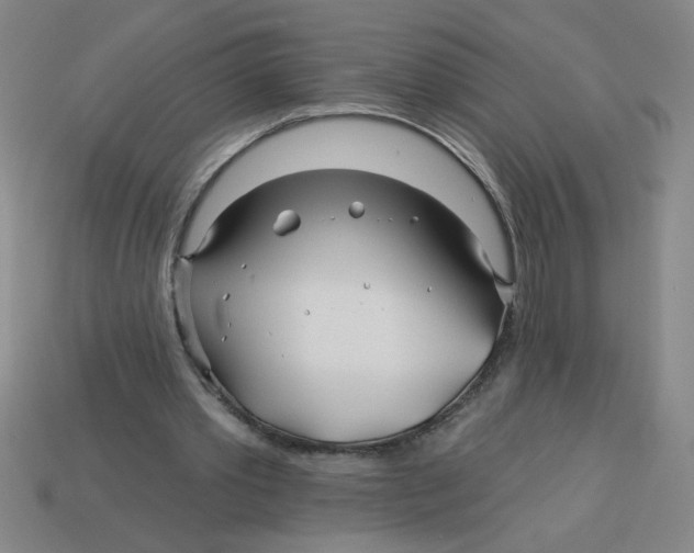 X0000113530389200910161354