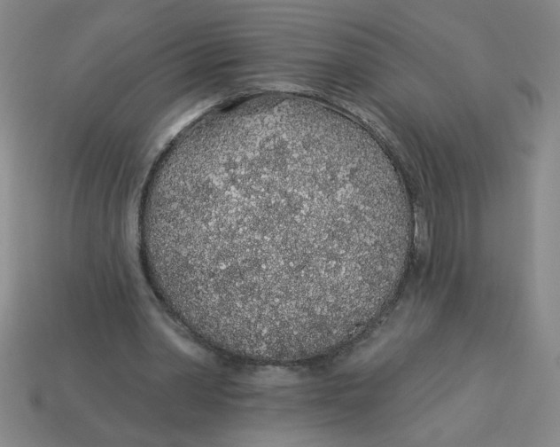 X0000113530390200910161354