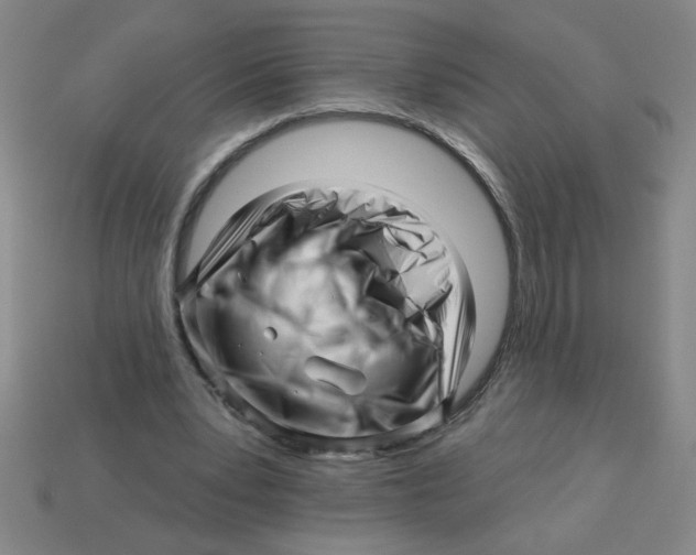 X0000113530391200910161354