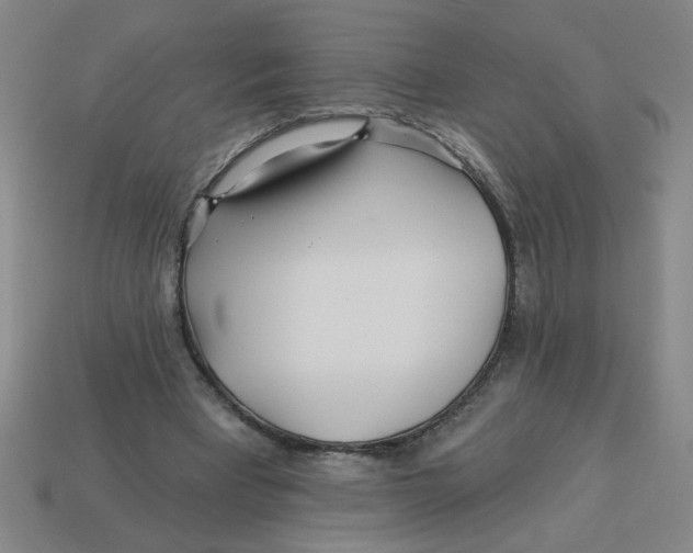 X0000113530393200910161354