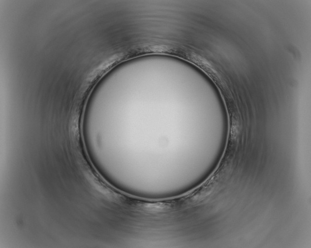 X0000113530394200910161354