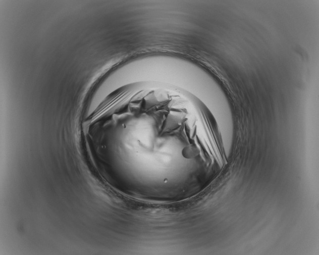 X0000113530395200910161354