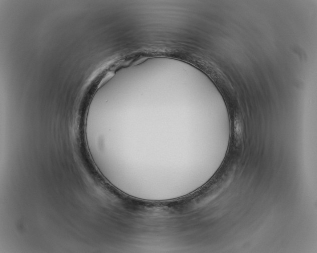 X0000113530396200910161354