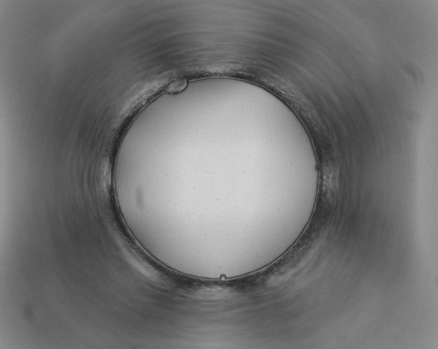 X0000113530397200910161354