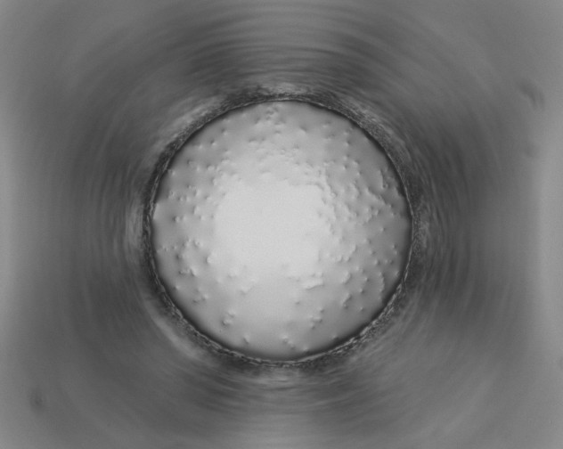 X0000113530398200910161354