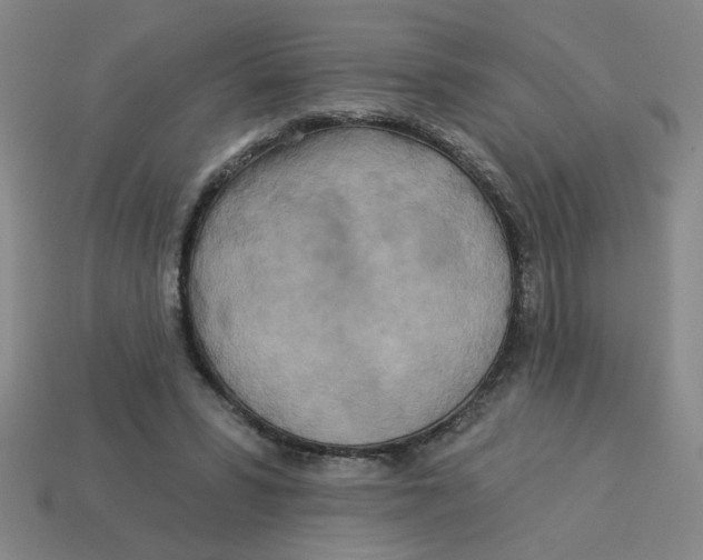 X0000113530399200910161354