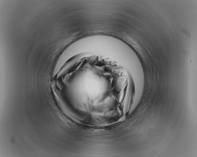 X0000113530401200910161354