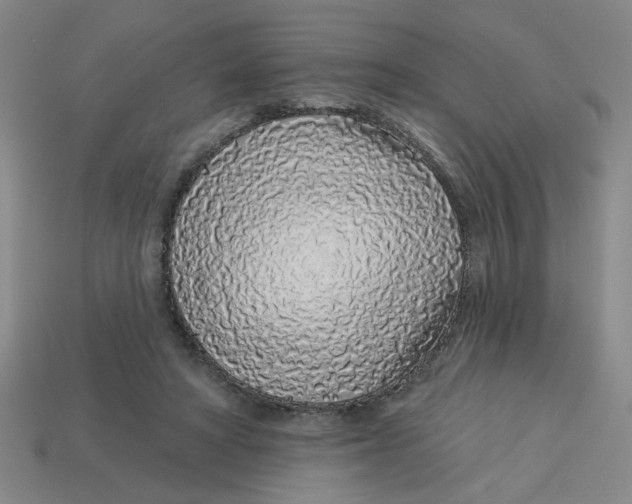 X0000113530402200910161354