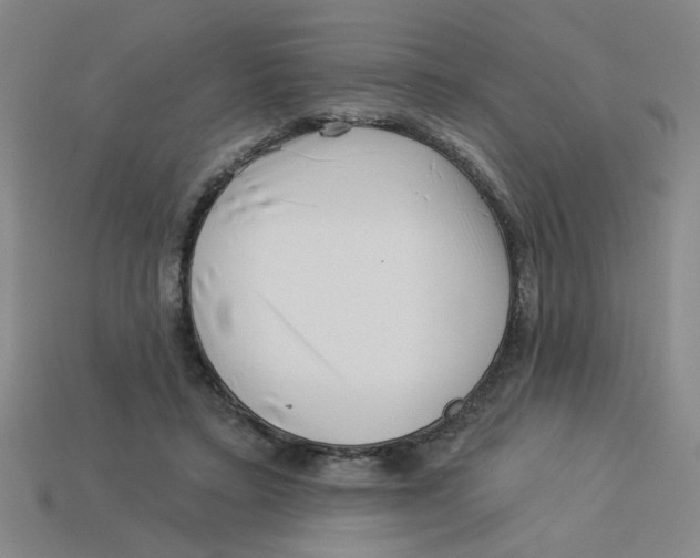 X0000113530403200910161354