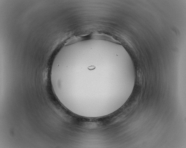 X0000113530404200910161354