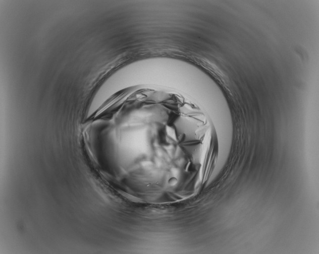 X0000113530405200910161354