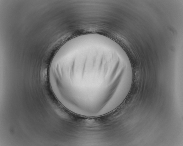 X0000113530406200910161354