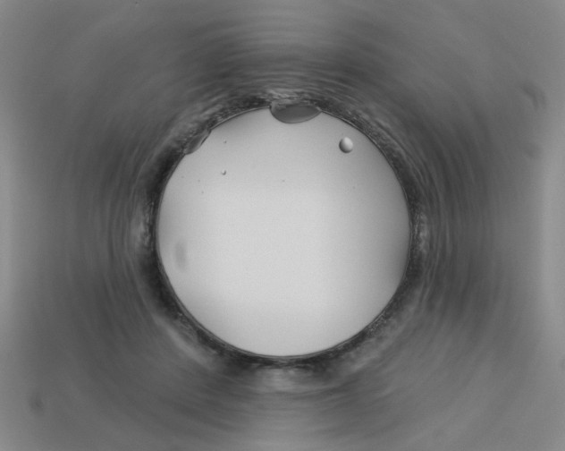 X0000113530408200910161354