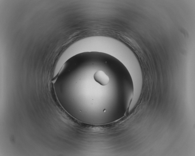 X0000113530409200910161354