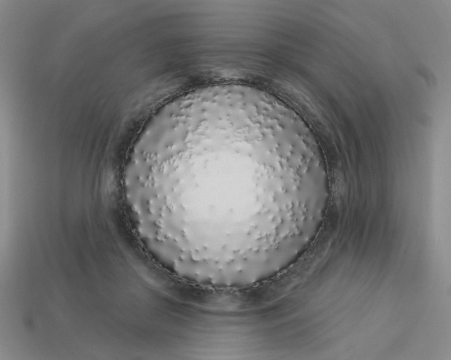 X0000113530410200910161354