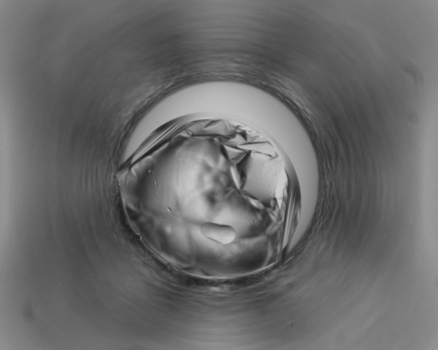 X0000113530411200910161354