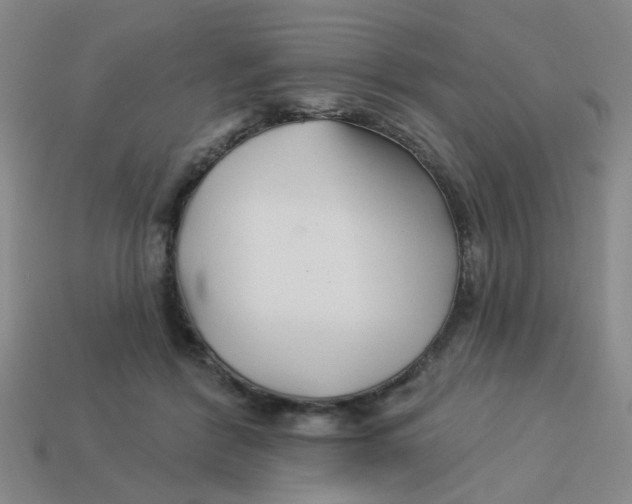 X0000113530412200910161354