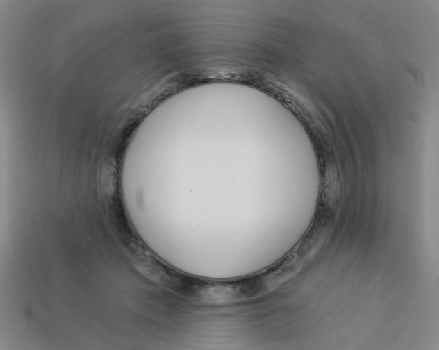 X0000113530413200910161354