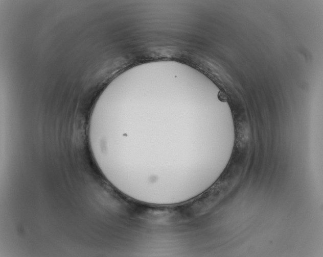 X0000113530414200910161354