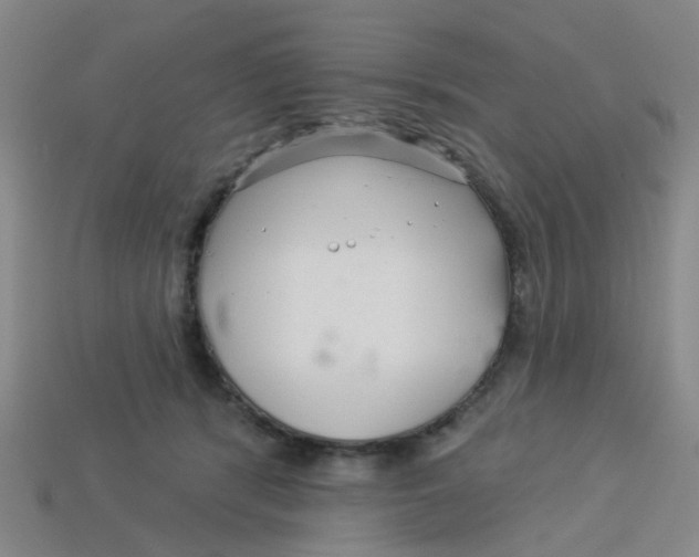 X0000113530416200910161354