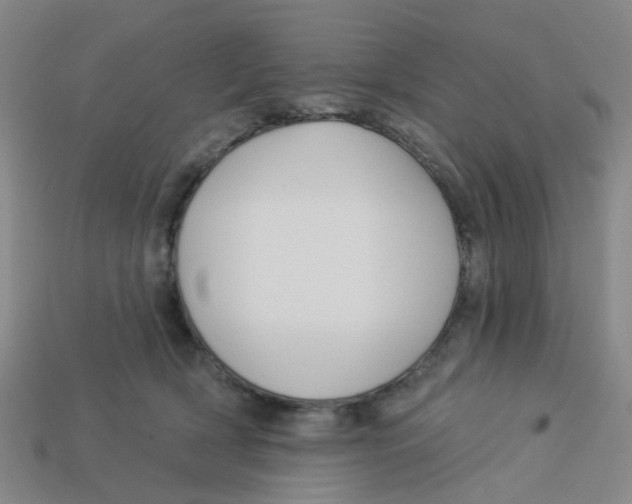 X0000113530418200910161354