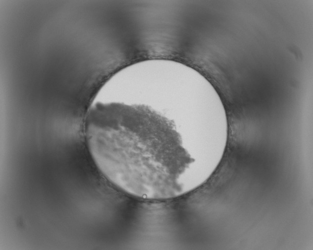 X0000113530419200910161354