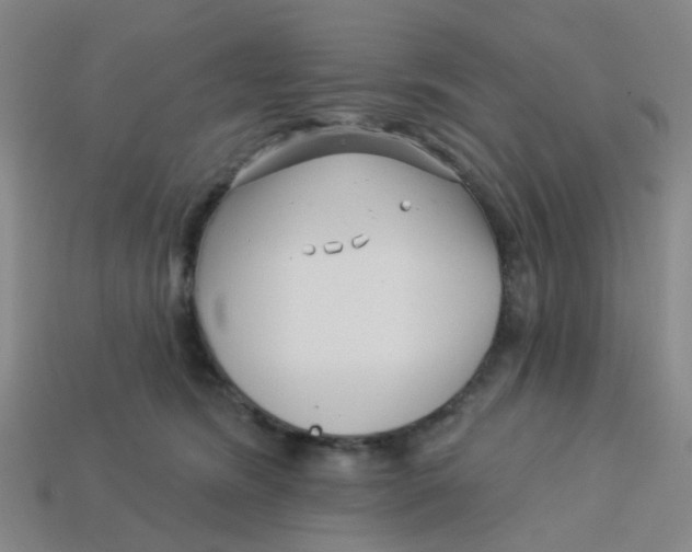 X0000113530420200910161354