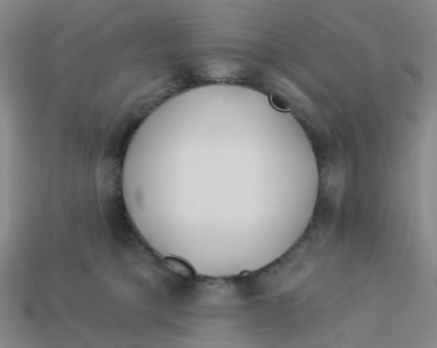 X0000113530421200910161354