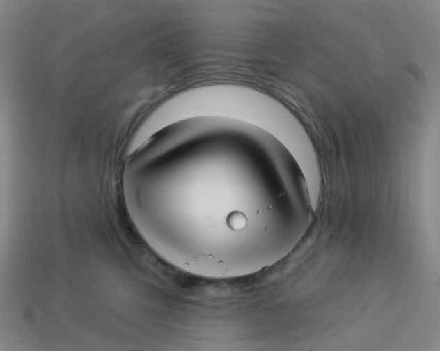 X0000113530423200910161354