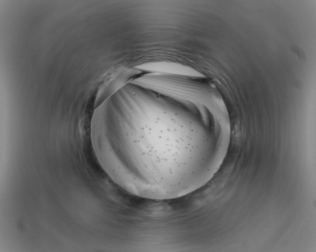 X0000113530424200910161354