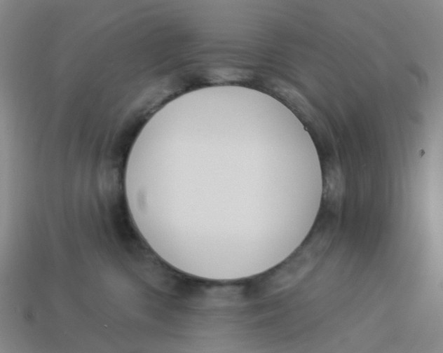 X0000113530426200910161354