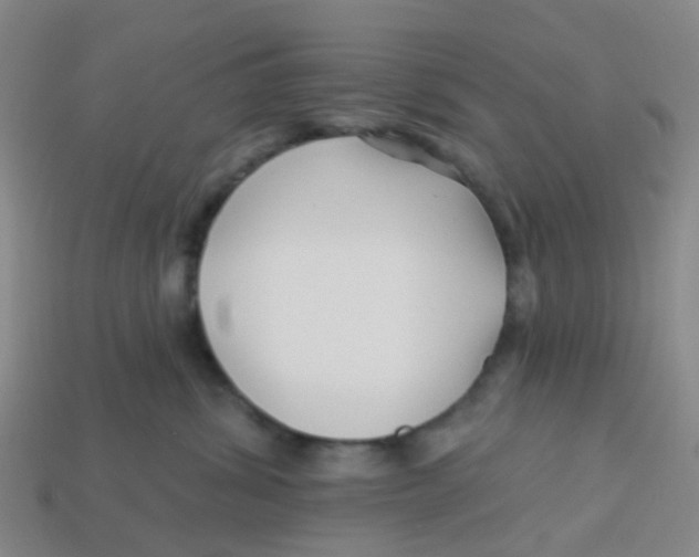 X0000113530428200910161354