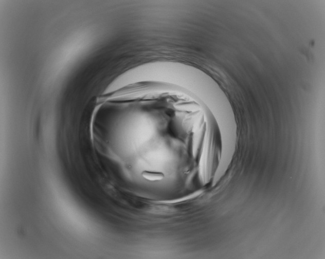 X0000113530429200910161354