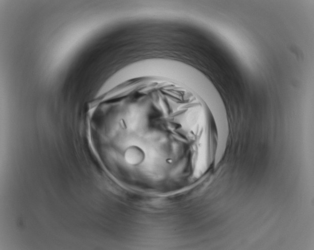 X0000113530431200910161354