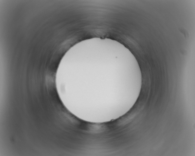 X0000113530432200910161353