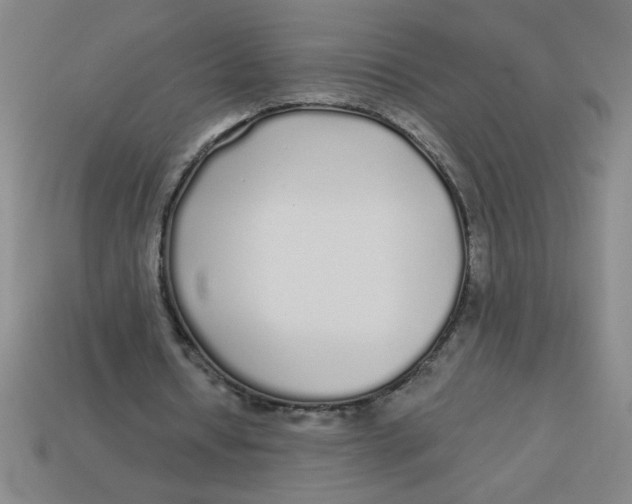 X0000113530434200910161353