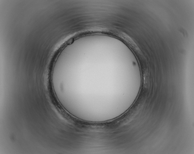 X0000113530436200910161353