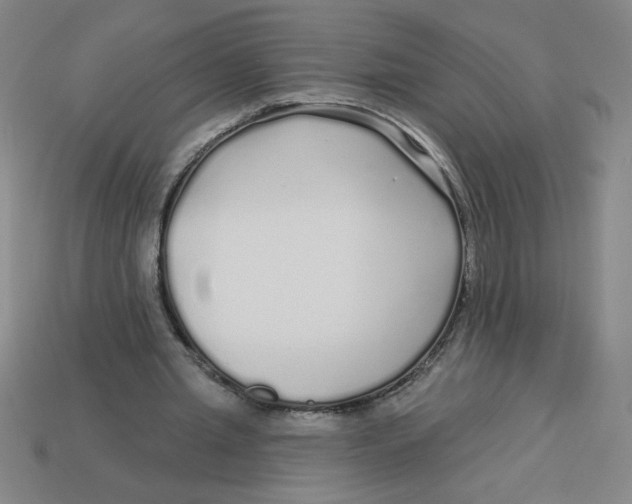 X0000113530437200910161353