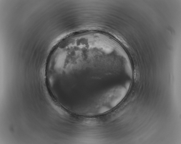 X0000113530438200910161353